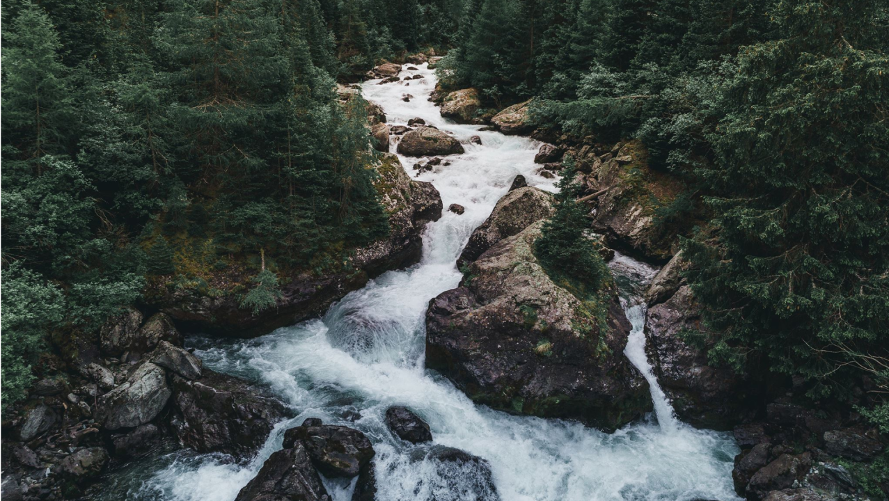 Embracing the Flow: Finding Freedom in Letting Go of Control